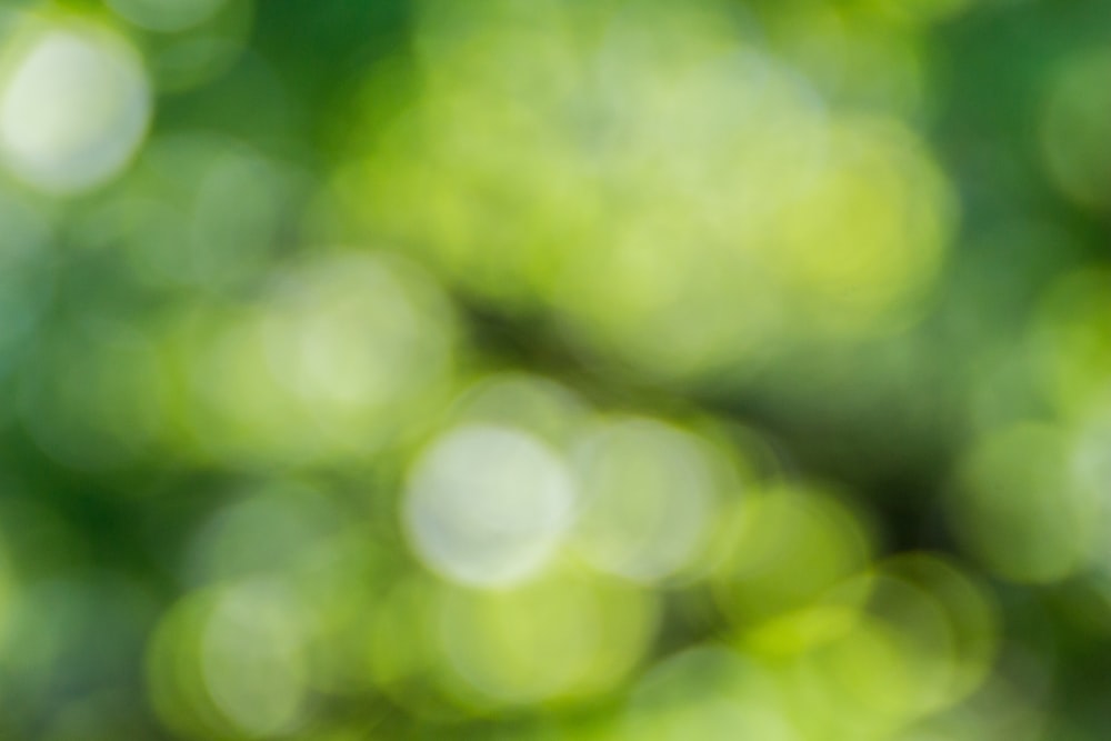 Detail Green Hd Background Nomer 7