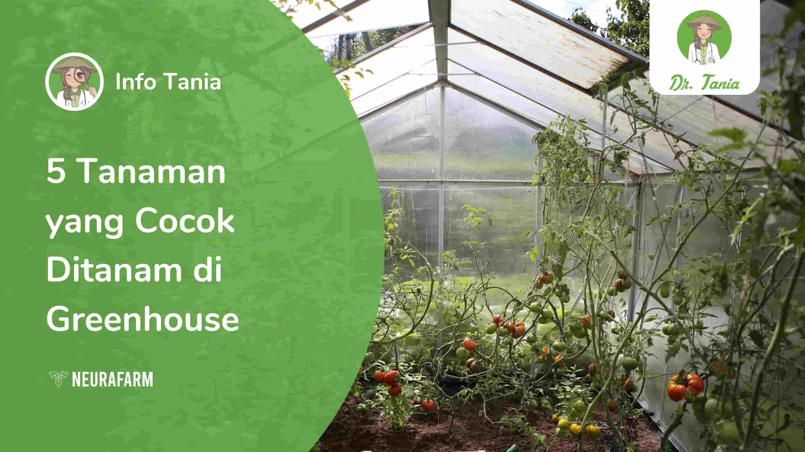 Detail Green House Tanaman Hias Nomer 25