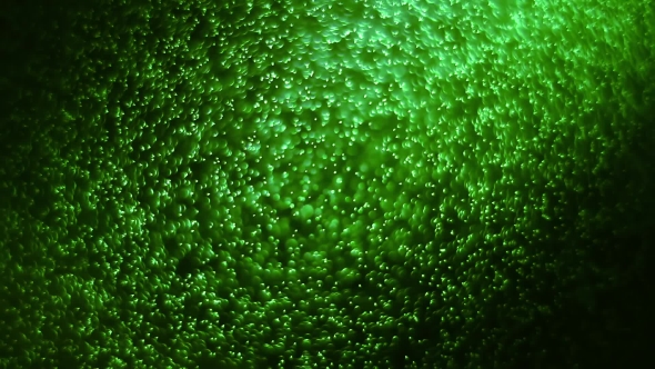 Detail Green Images Background Nomer 35