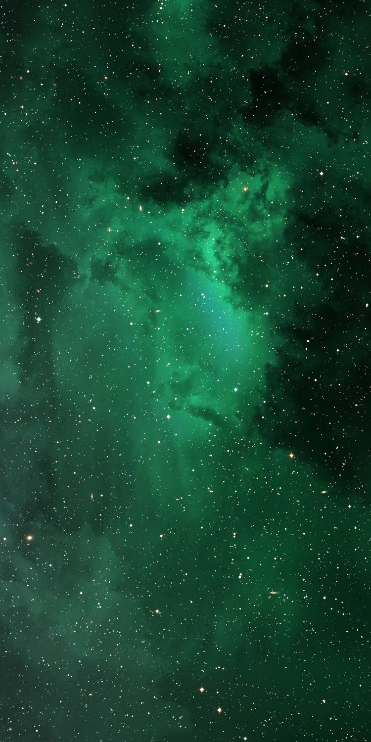 Green Iphone Wallpaper - KibrisPDR