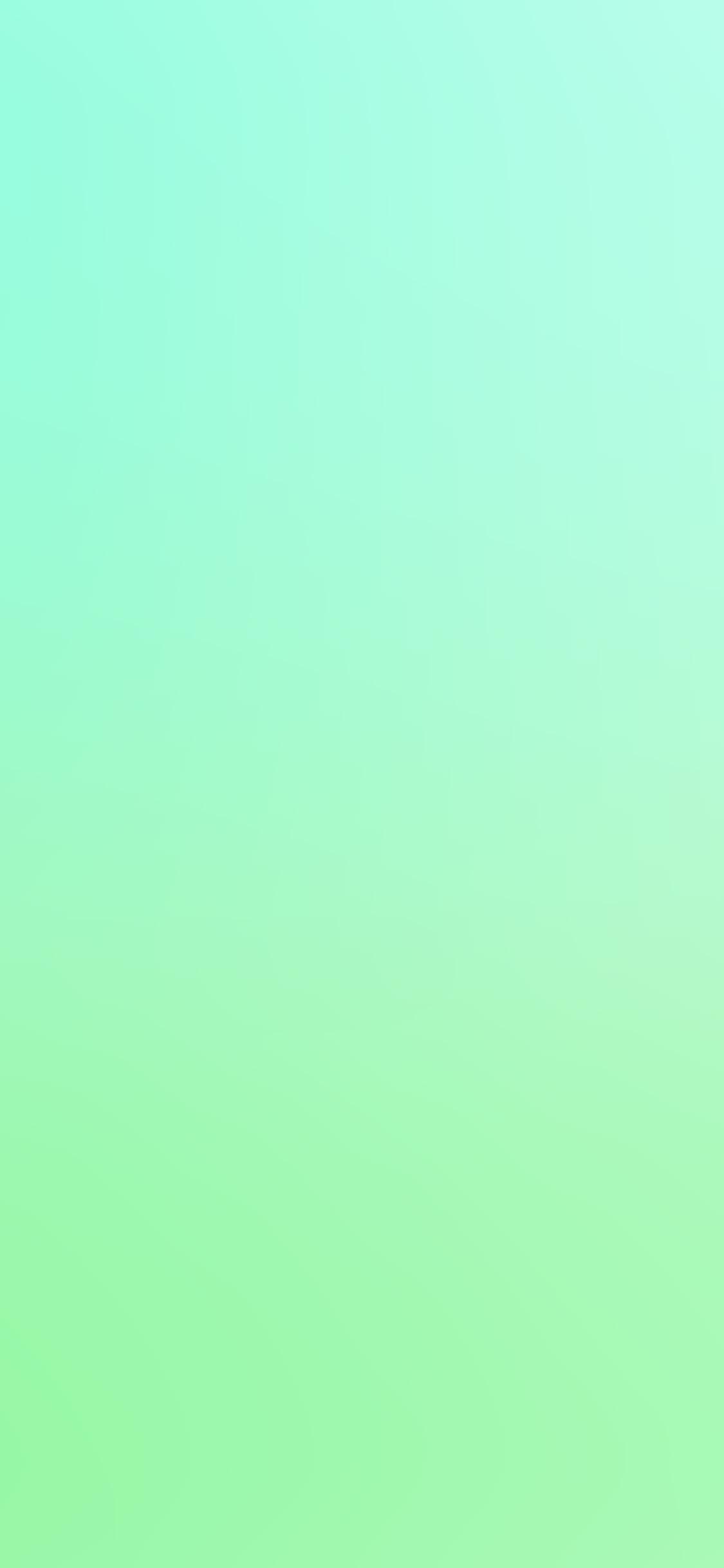 Detail Green Iphone Wallpaper Nomer 14