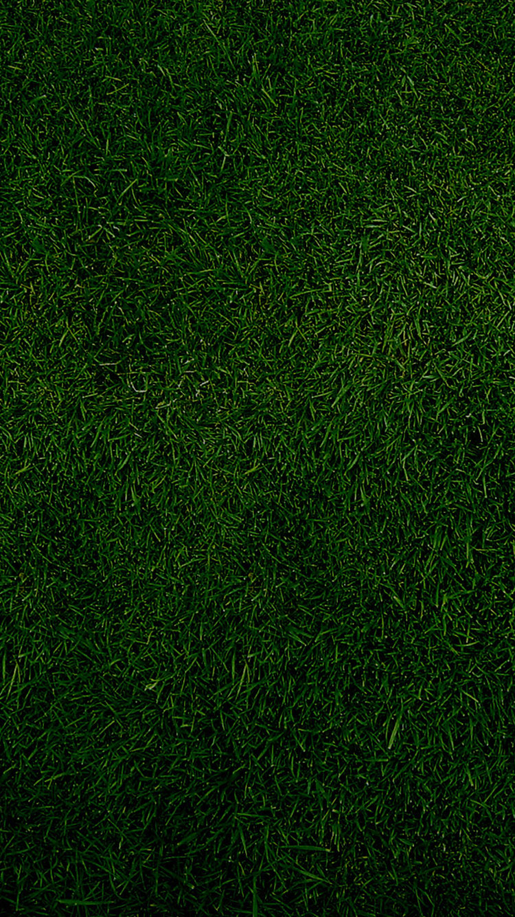 Detail Green Iphone Wallpaper Nomer 18