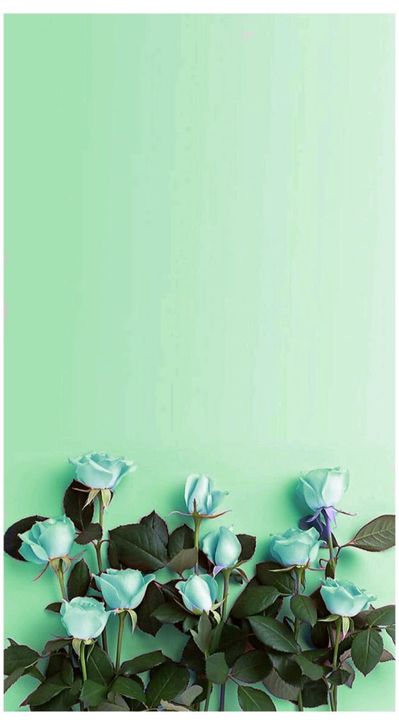 Detail Green Iphone Wallpaper Nomer 33