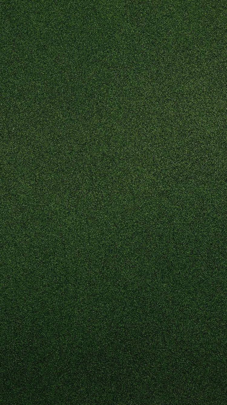 Detail Green Iphone Wallpaper Nomer 39