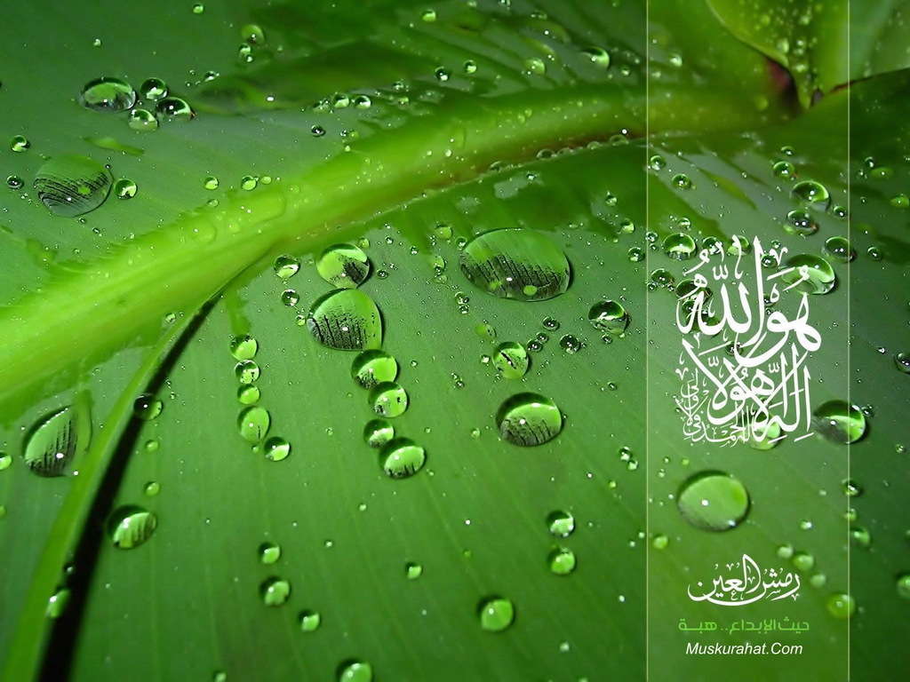 Detail Green Islamic Wallpaper Hd Nomer 17