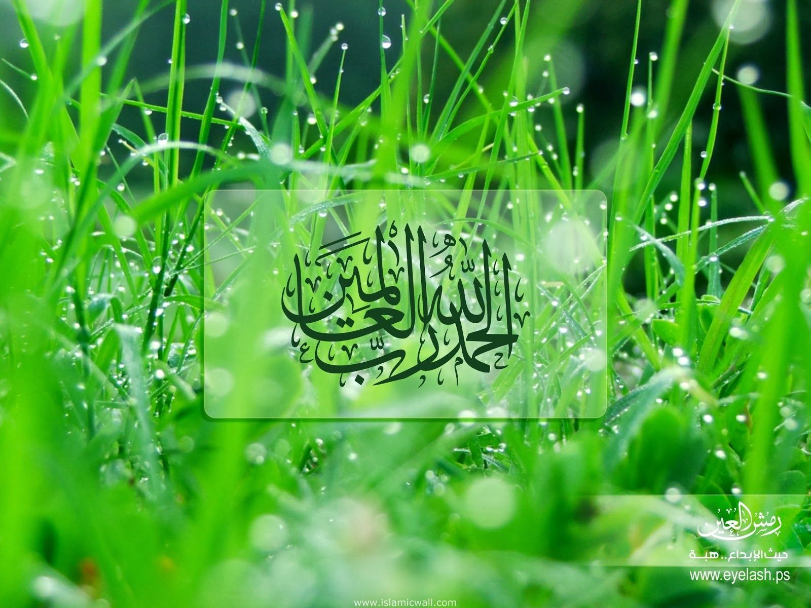 Detail Green Islamic Wallpaper Hd Nomer 24