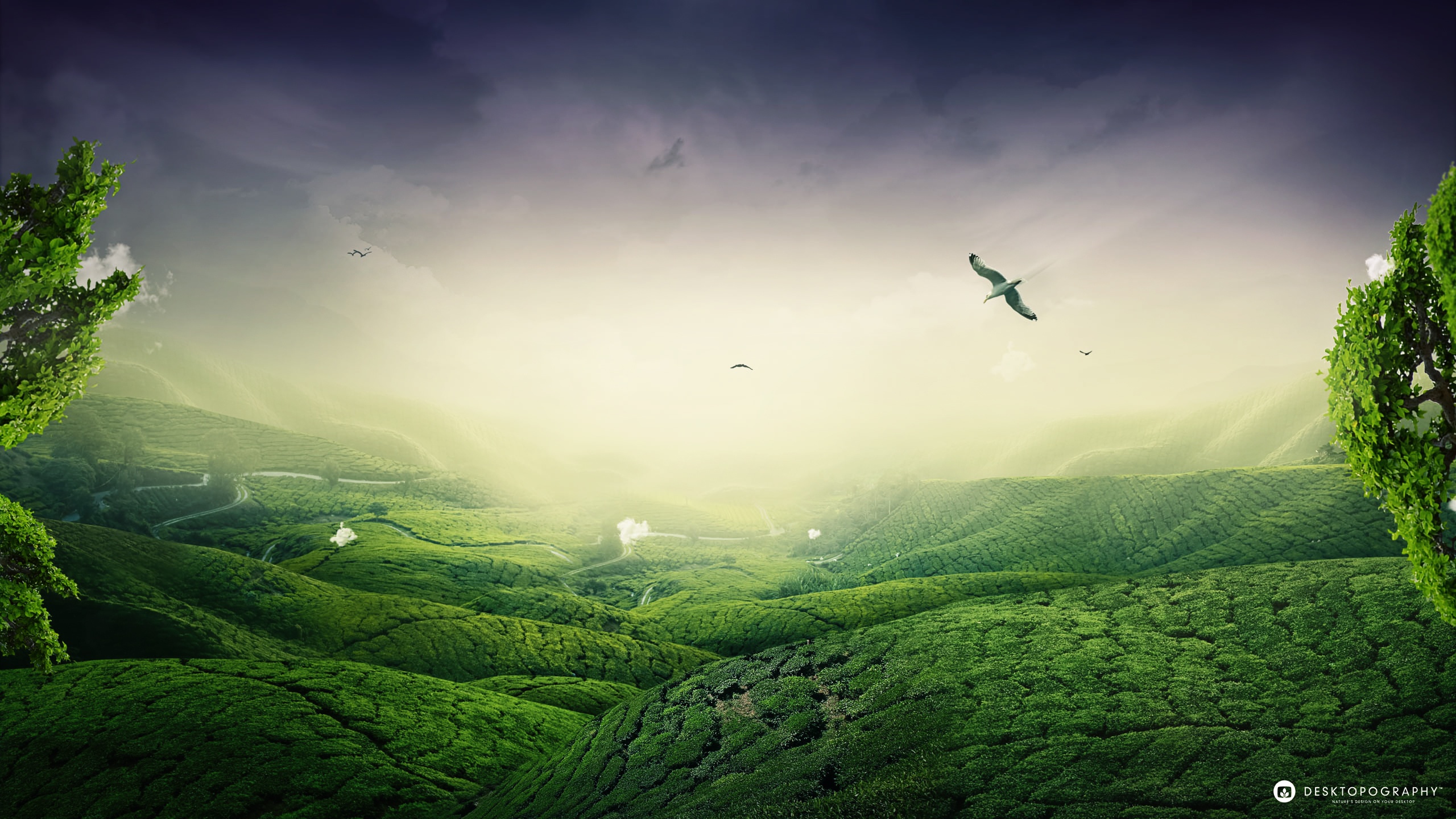 Detail Green Landscape Wallpaper Nomer 12