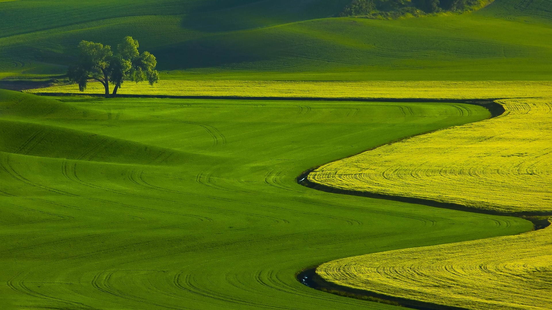 Detail Green Landscape Wallpaper Nomer 18