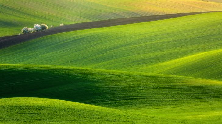 Detail Green Landscape Wallpaper Nomer 19