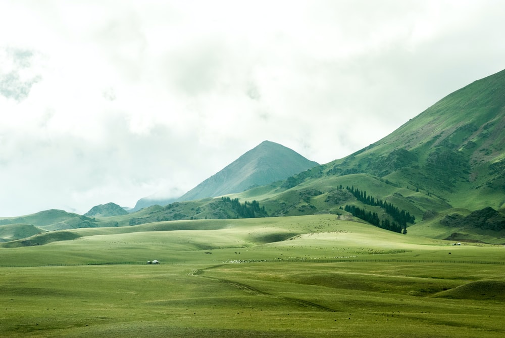 Detail Green Landscape Wallpaper Nomer 3