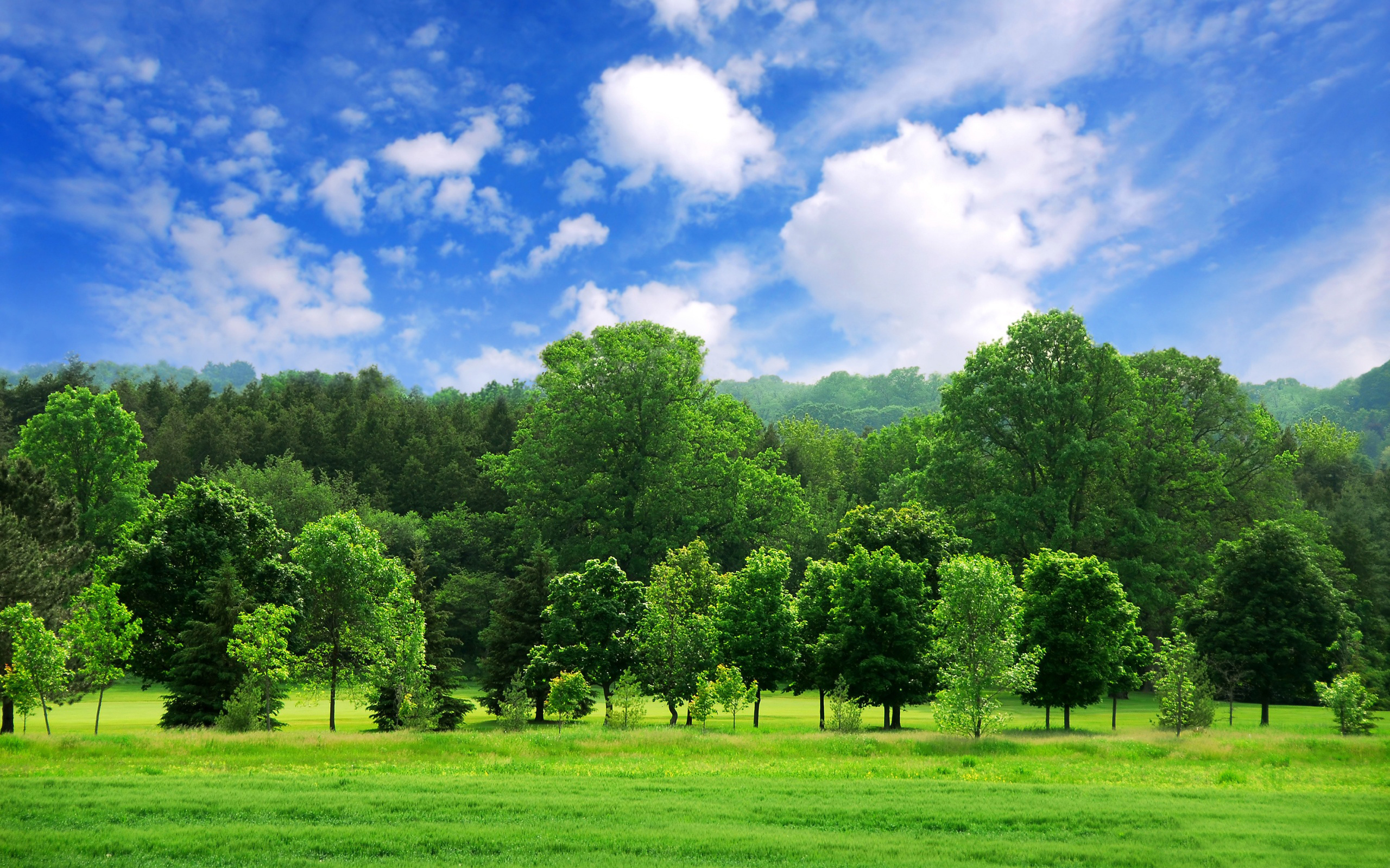 Detail Green Landscape Wallpaper Nomer 24