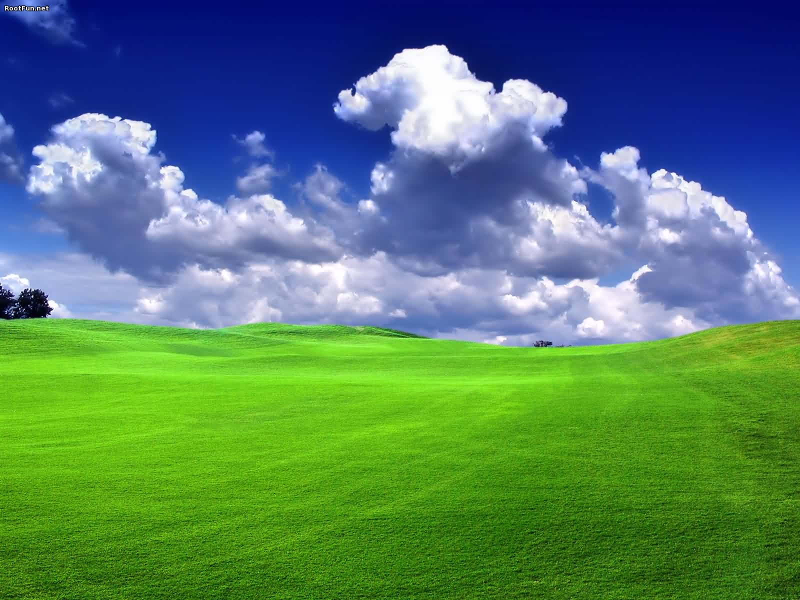 Detail Green Landscape Wallpaper Nomer 25