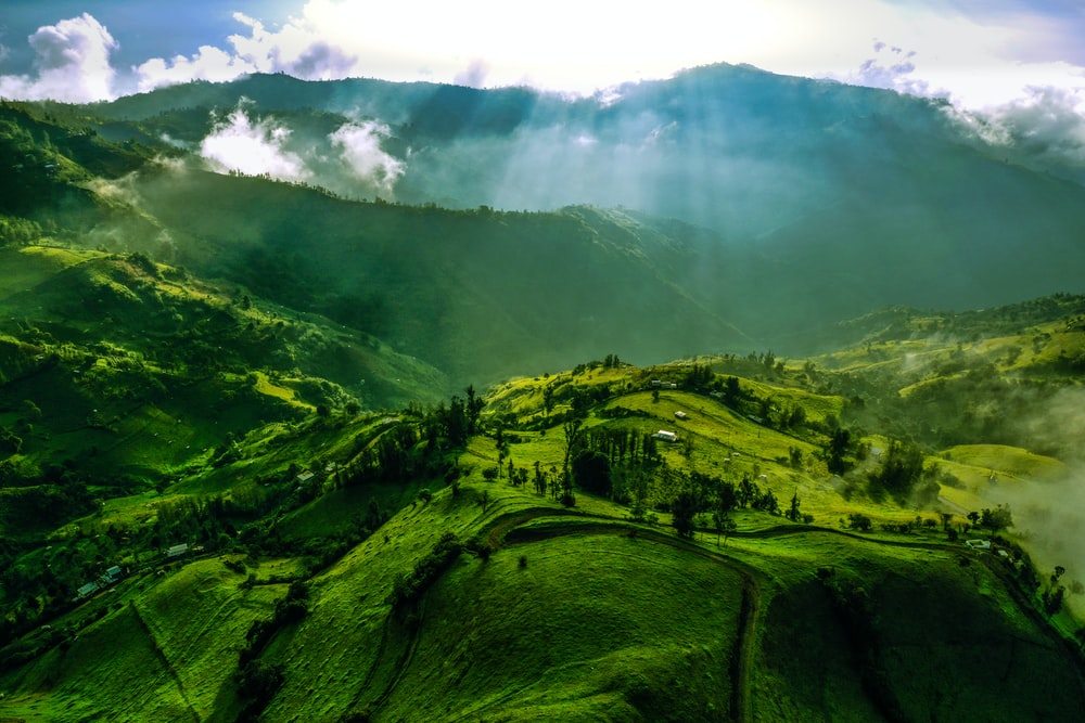 Detail Green Landscape Wallpaper Nomer 4