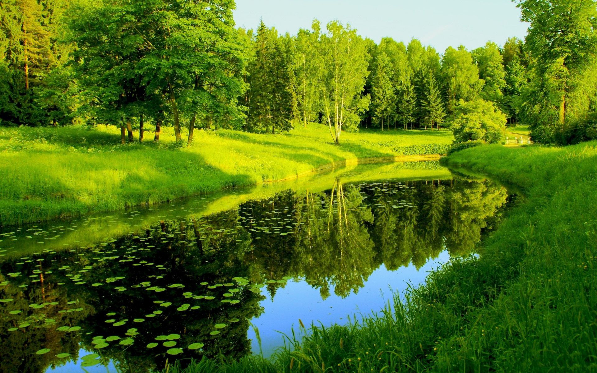 Detail Green Landscape Wallpaper Nomer 5