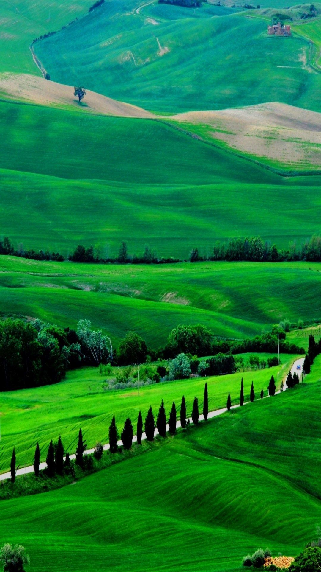 Detail Green Landscape Wallpaper Nomer 44