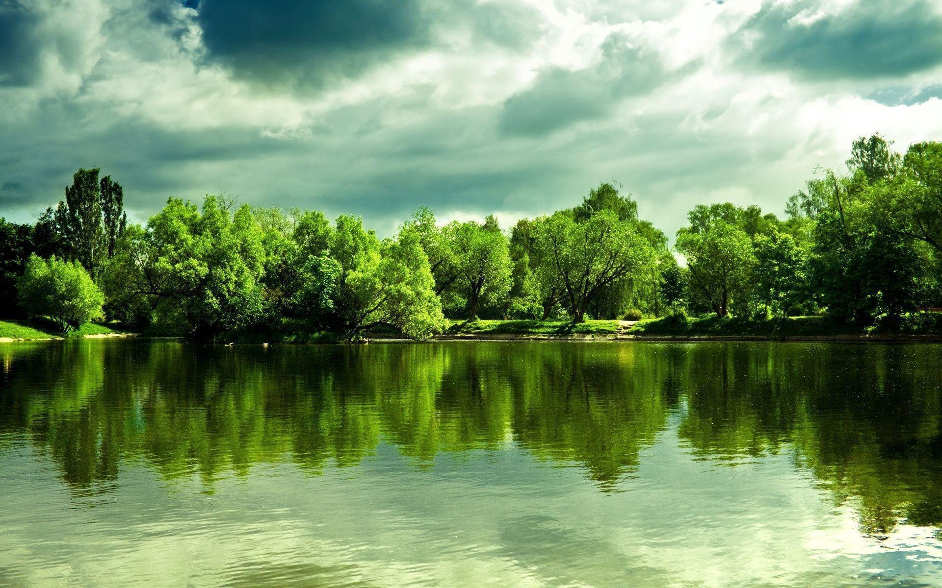 Detail Green Landscape Wallpaper Nomer 9