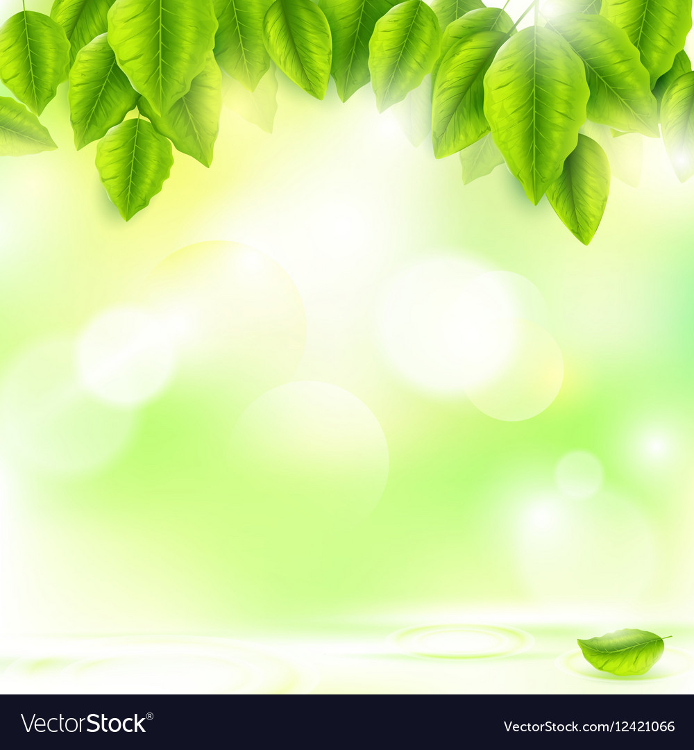 Detail Green Leaf Background Nomer 30