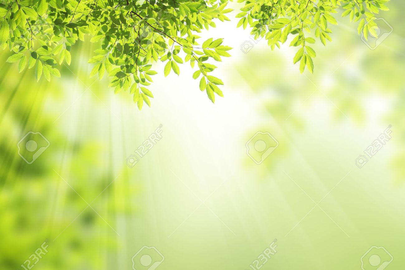 Detail Green Leaf Background Nomer 38