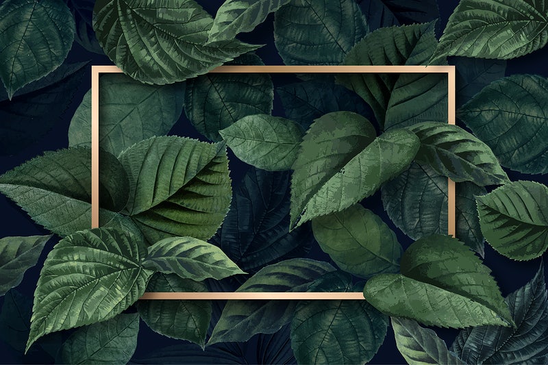 Detail Green Leaf Background Nomer 42