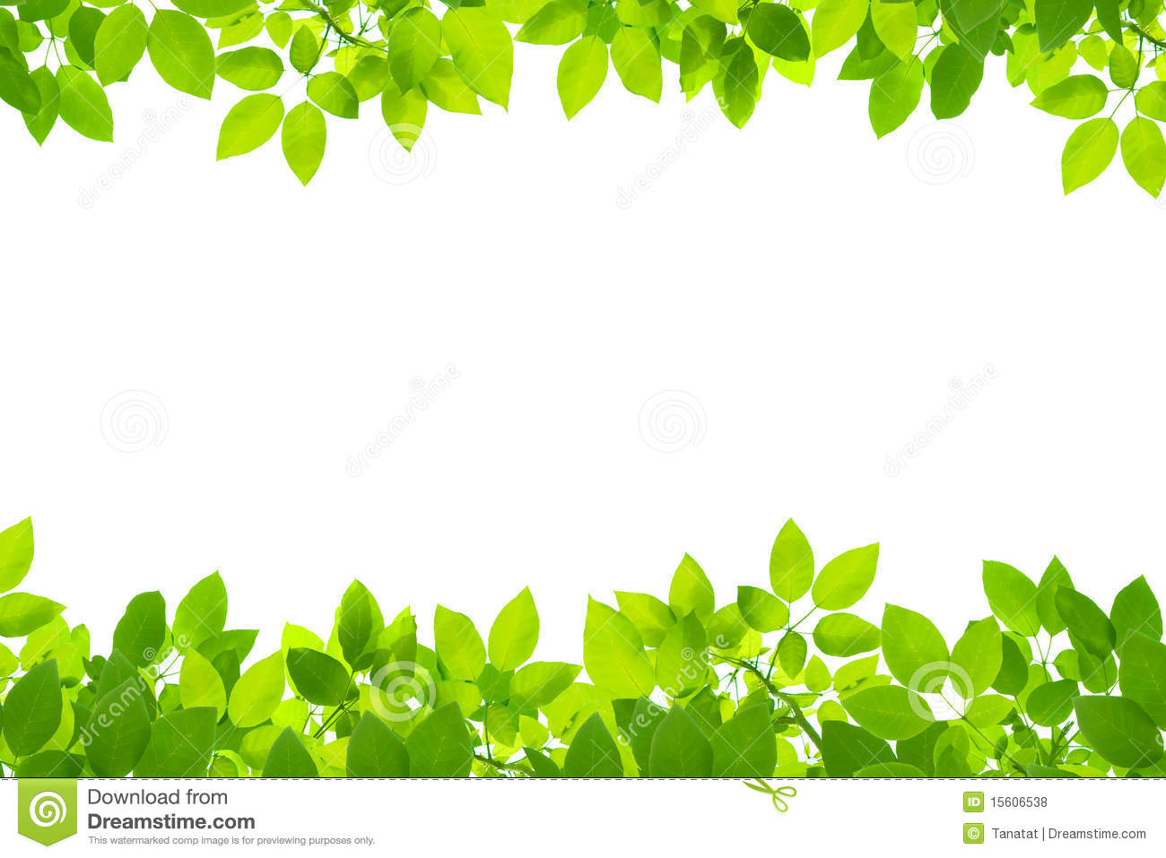 Detail Green Leaf Background Nomer 48