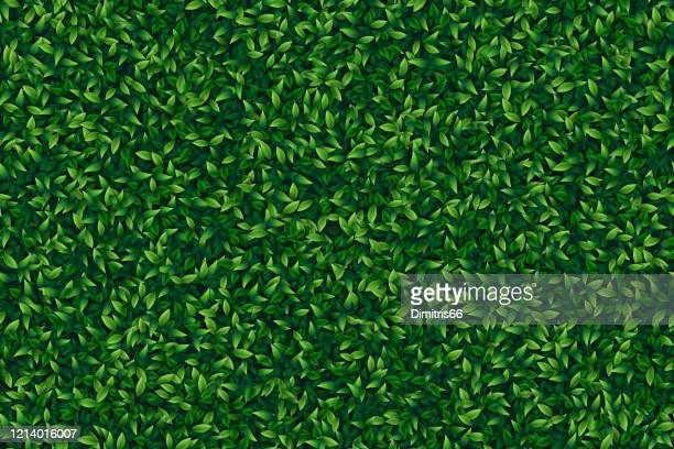 Detail Green Leaf Background Nomer 51