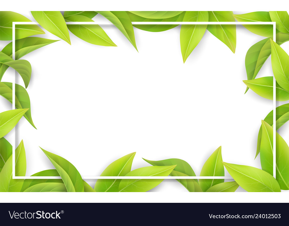 Detail Green Leaf Background Nomer 55