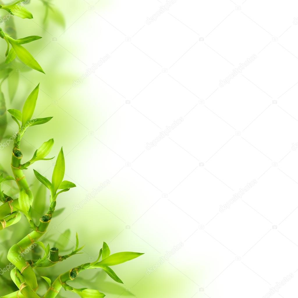 Detail Green Leaf Background Nomer 57