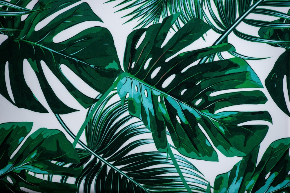 Detail Green Leaf Background Nomer 10