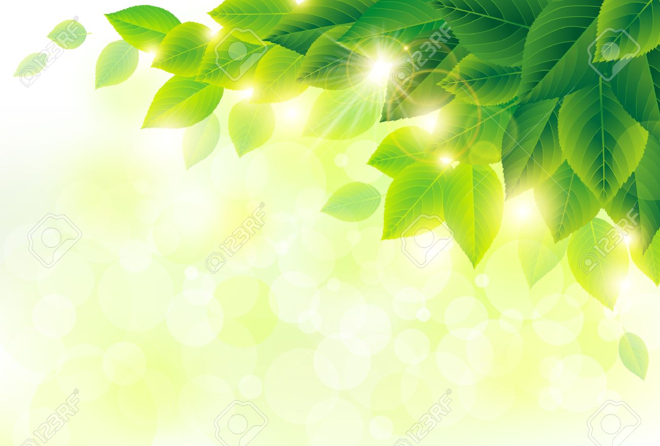 Detail Green Leaf Background Hd Nomer 19