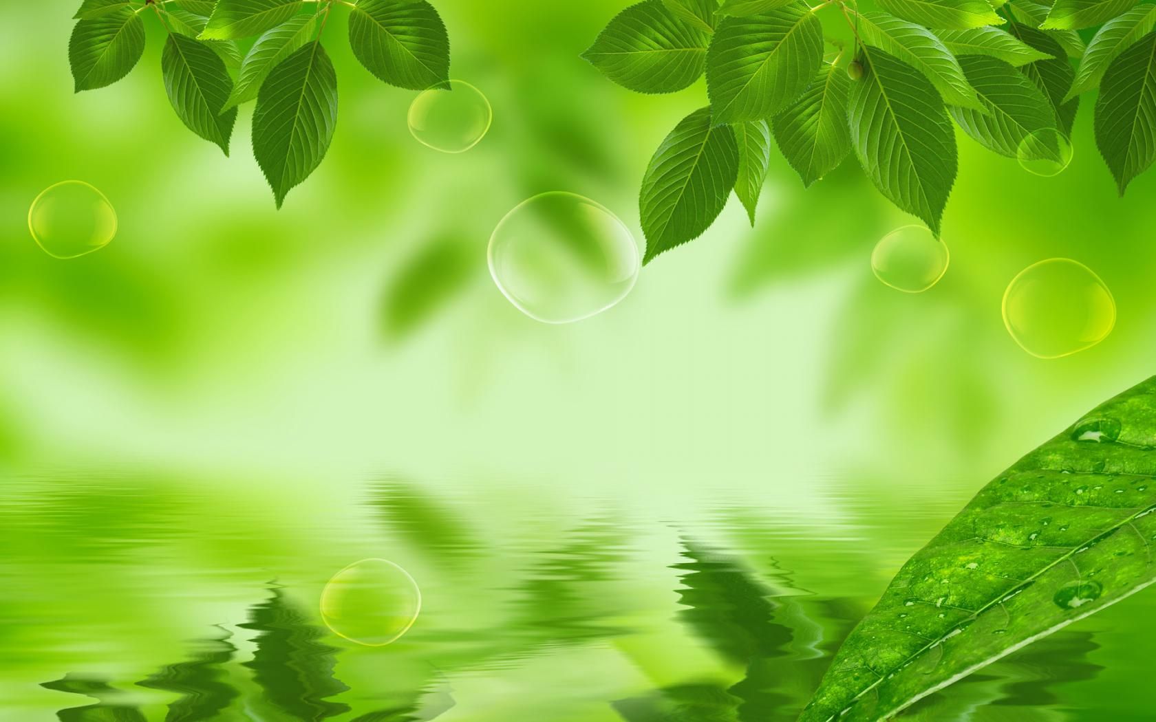 Detail Green Leaf Background Hd Nomer 5