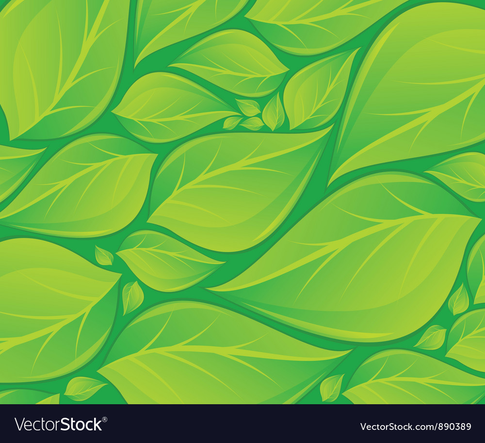 Detail Green Leaf Background Images Nomer 29