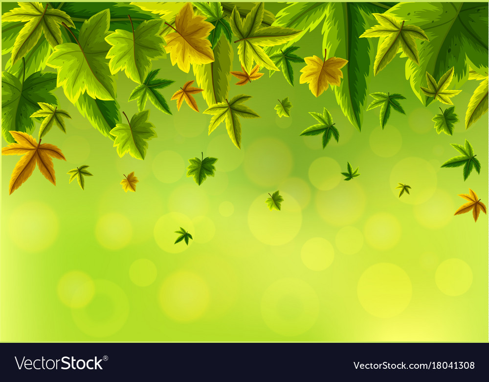 Detail Green Leaf Background Images Nomer 31