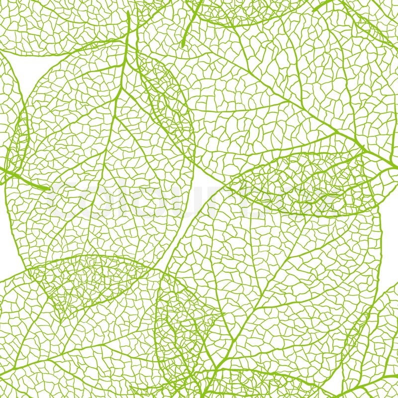 Detail Green Leaf Background Images Nomer 41