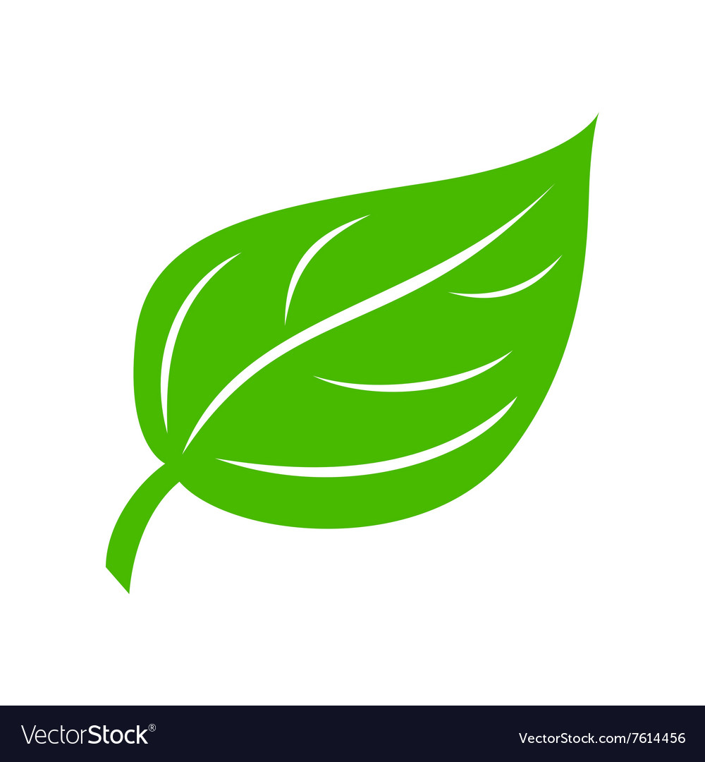 Green Leaf Image - KibrisPDR