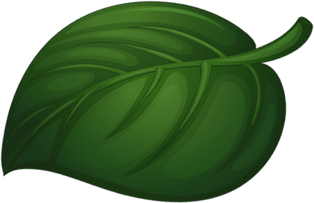 Detail Green Leaf Image Nomer 26