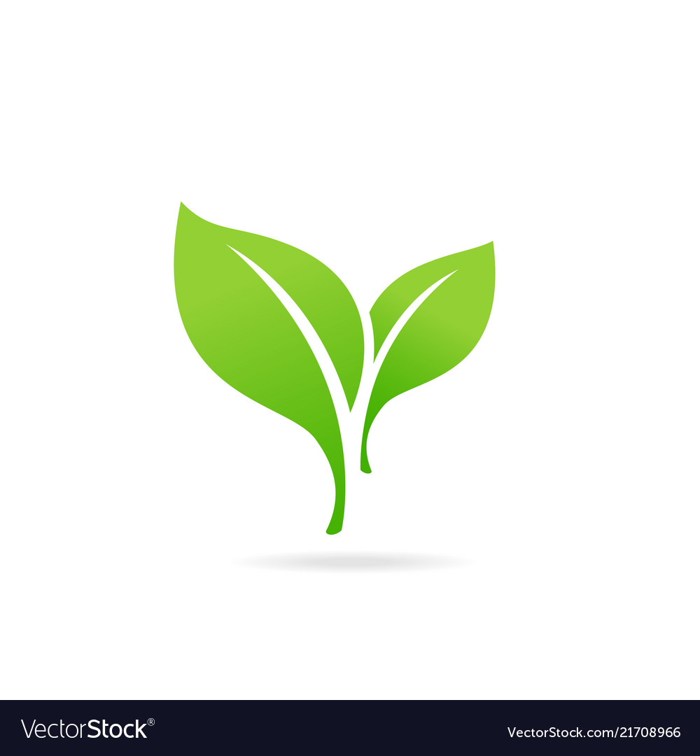 Detail Green Leaf Image Nomer 27