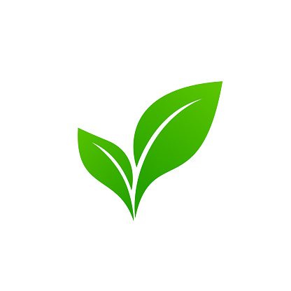 Detail Green Leaf Image Nomer 28