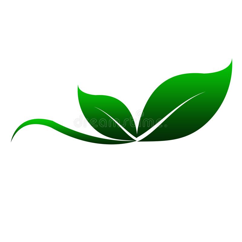 Detail Green Leaf Image Nomer 29