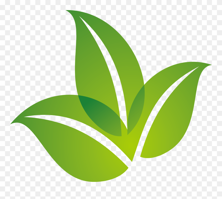 Detail Green Leaf Transparent Nomer 17