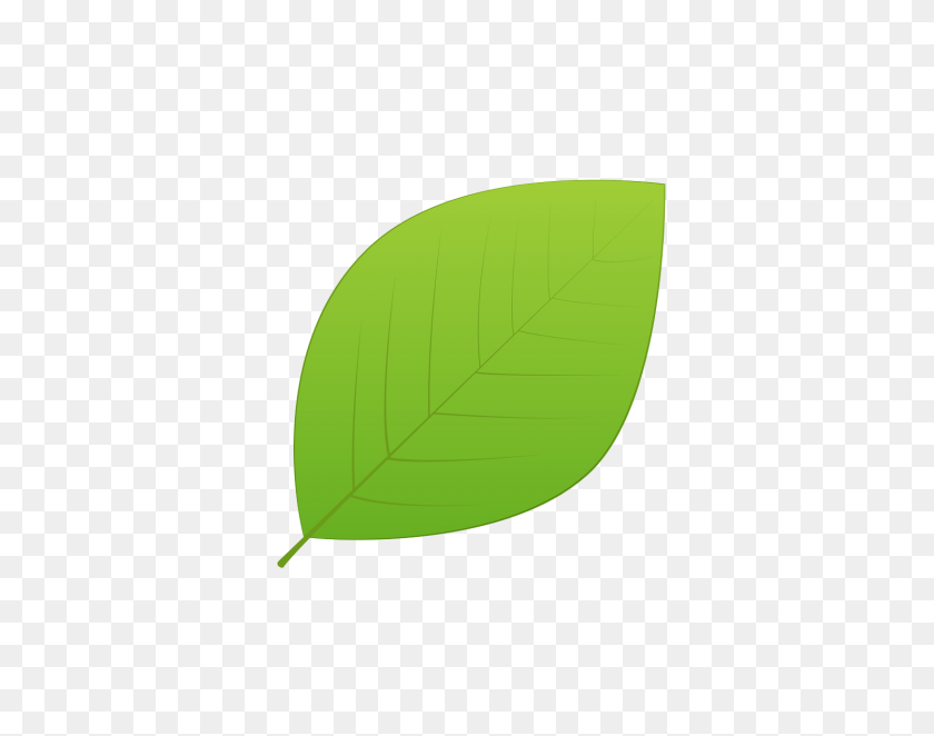 Detail Green Leaf Transparent Nomer 20