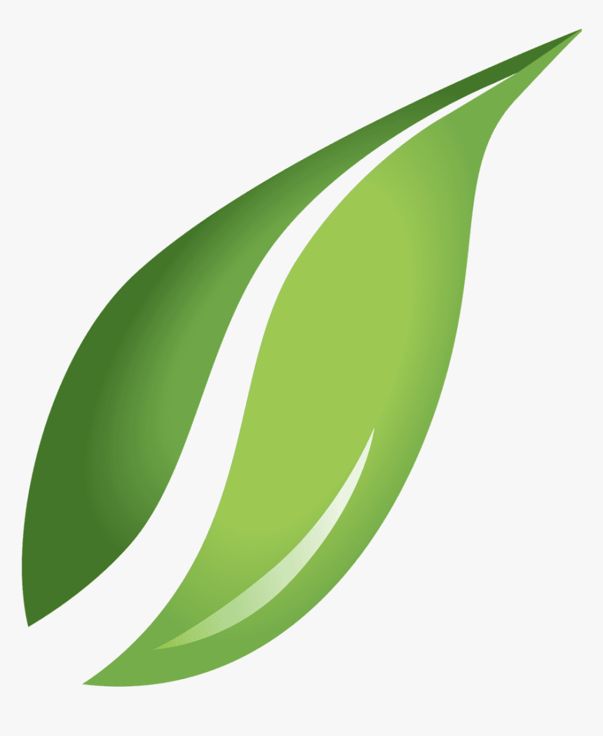 Detail Green Leaf Transparent Nomer 26
