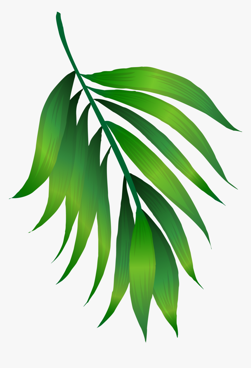 Detail Green Leaf Transparent Nomer 27