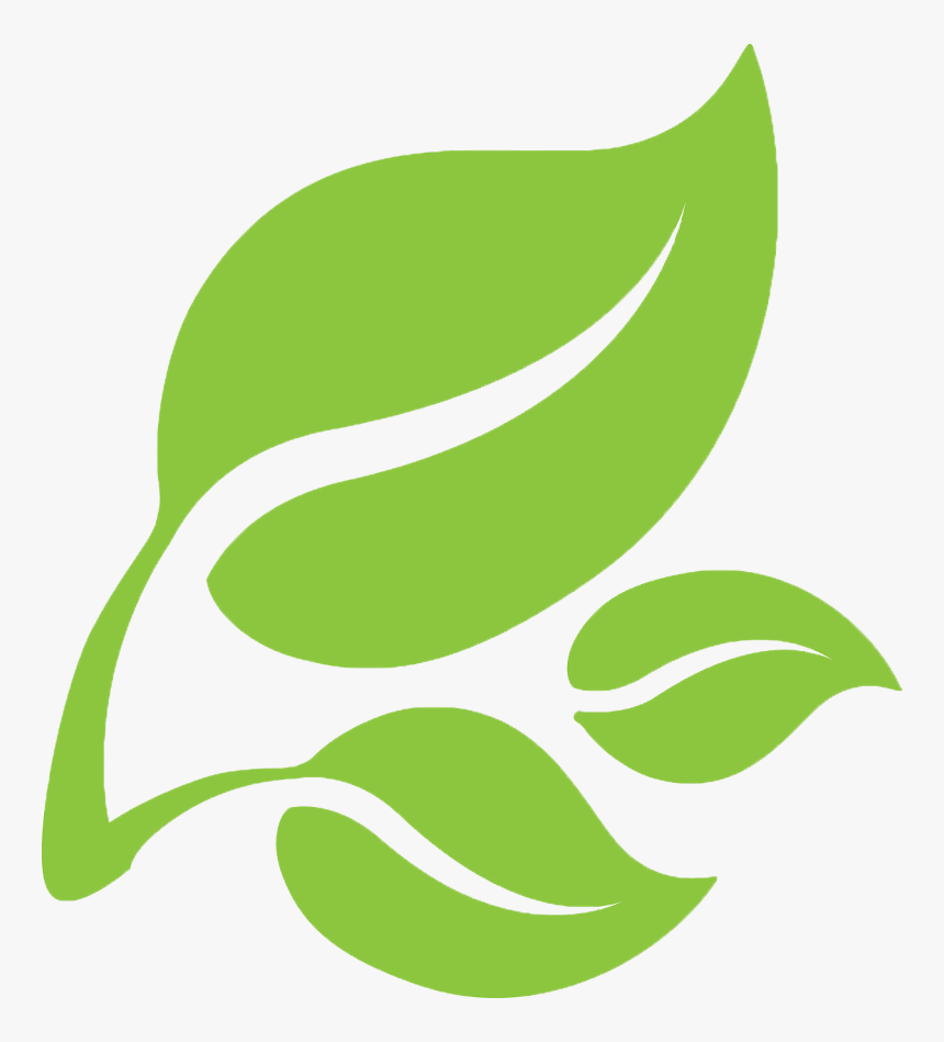 Detail Green Leaf Transparent Nomer 29