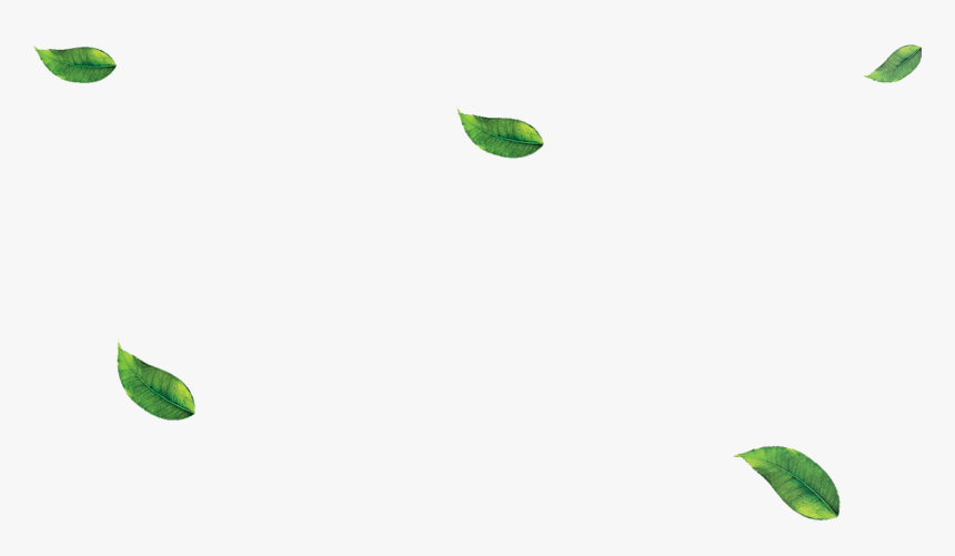 Detail Green Leaf Transparent Nomer 32