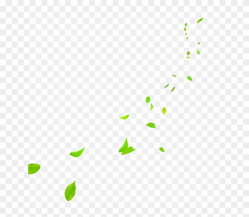 Detail Green Leaf Transparent Nomer 41