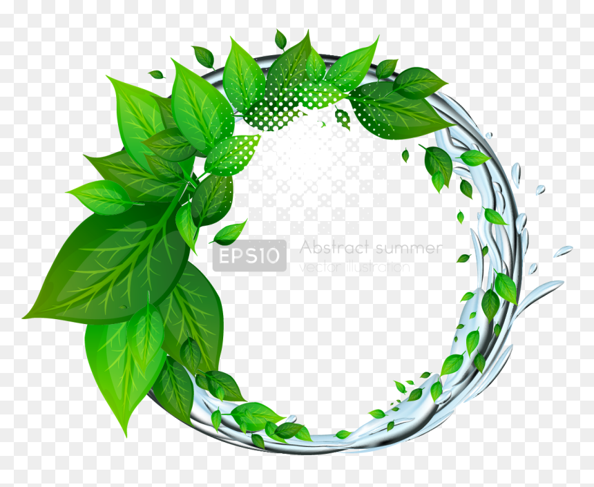 Detail Green Leaf Transparent Nomer 52