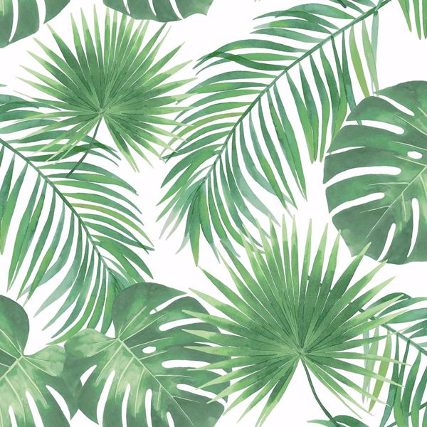 Detail Green Leaf Wallpaper Nomer 2