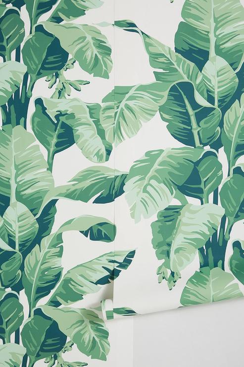 Detail Green Leaf Wallpaper Nomer 34