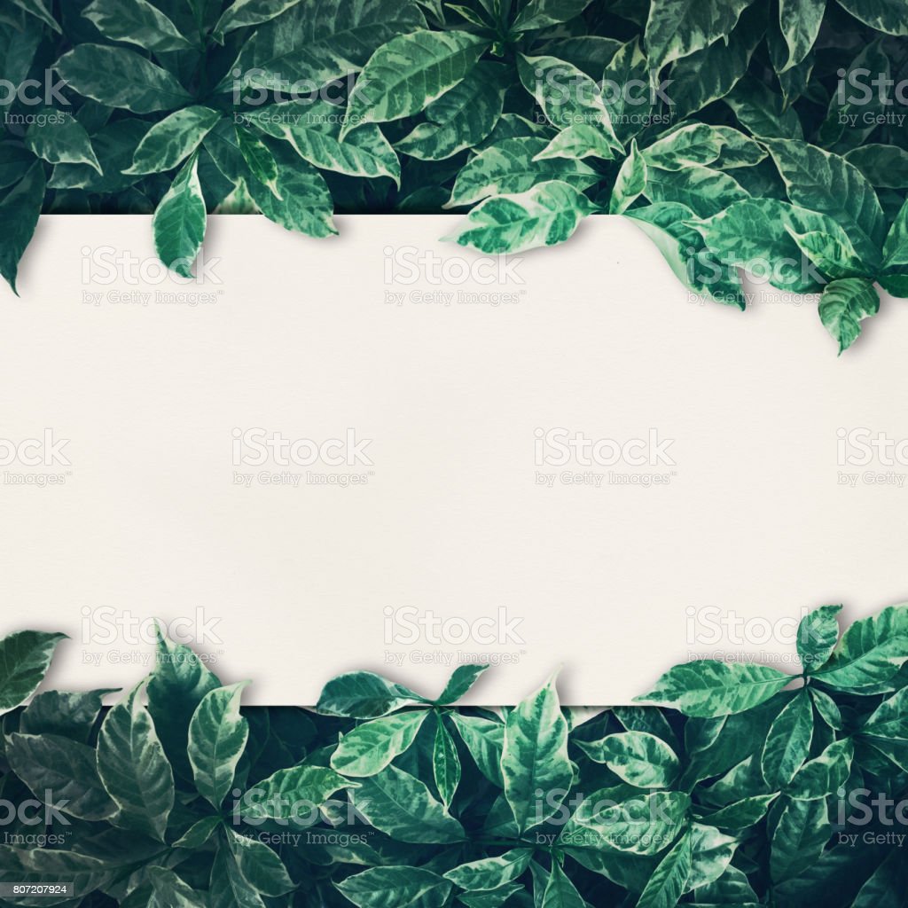 Detail Green Leaves Background Nomer 41