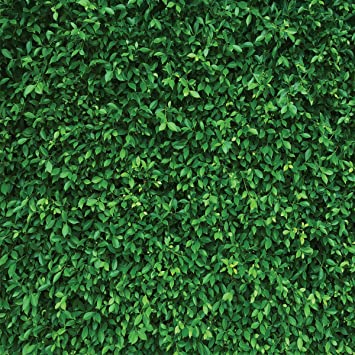 Detail Green Leaves Background Nomer 44